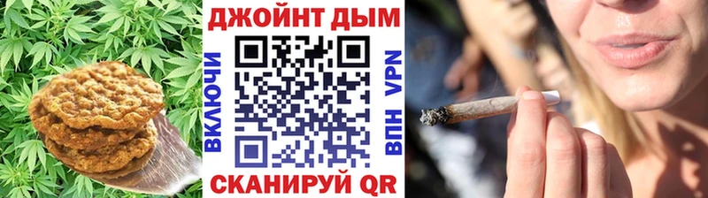 Cannafood конопля  Купить закладки  Купино 