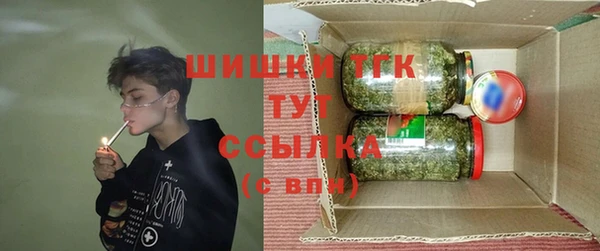 индика Богородицк