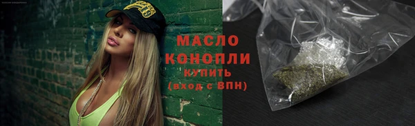 индика Богородицк