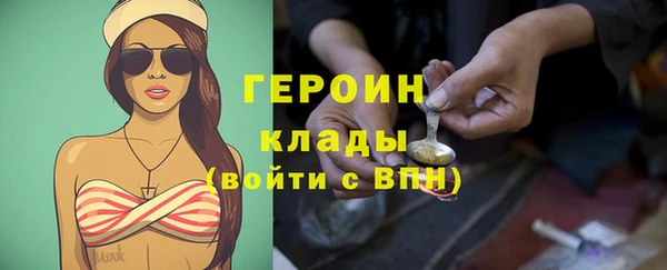индика Богородицк