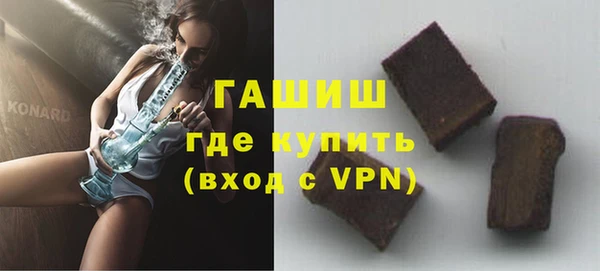 индика Богородицк