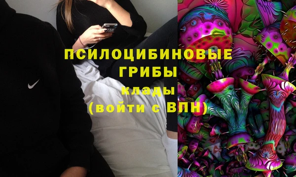индика Богородицк