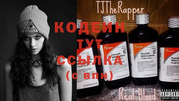 индика Богородицк