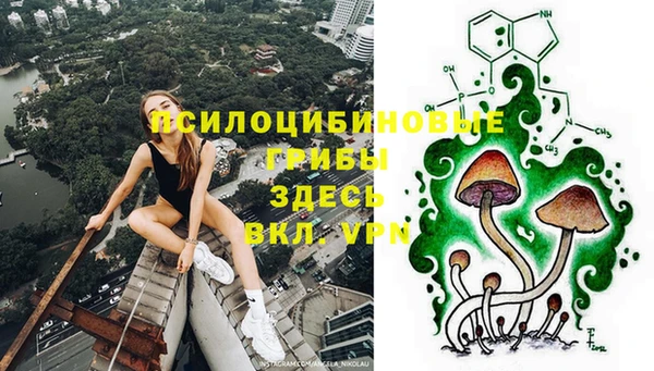 индика Богородицк