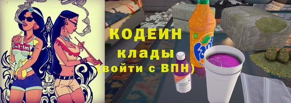 индика Богородицк
