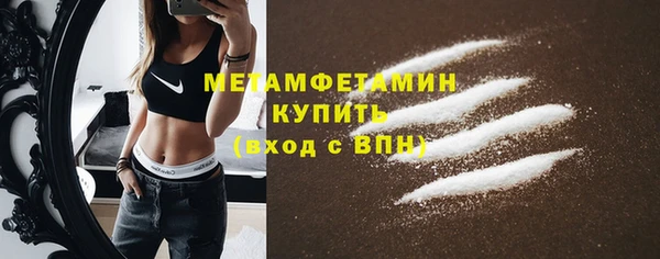 индика Бронницы