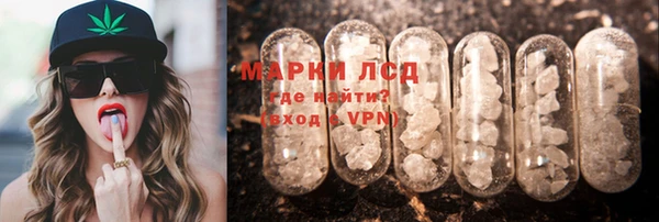 индика Богородицк