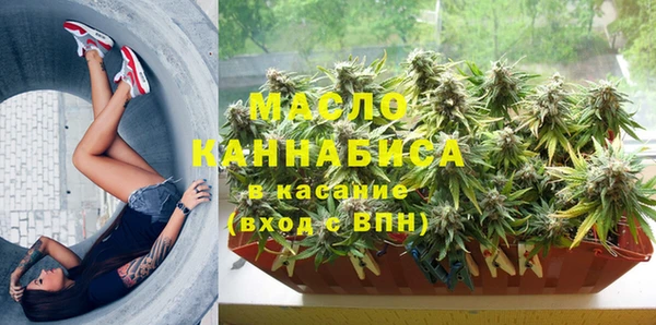 индика Богородицк